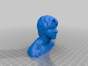 nick bust people head reconstructme scan 3d print model - Mito3D