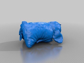 ponto animal de estimação travesseiro cubify sentido digitalização 3d a impressora acessórios 3d print model - Mito3D