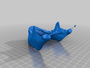 anatomik mandibula sanat makerbotdigitizer tarama 3d print model - Mito3D