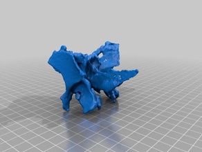 anatômica sphenoid osso a arte makerbotdigitizer scan 3d print model - Mito3D