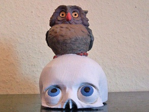 peter owl animals skull 3d print model - Mito3D