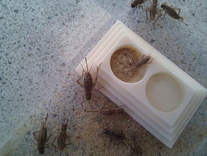 cricket feeder Haustiere die Schüsseln bugs Grillen 3d print model - Mito3D