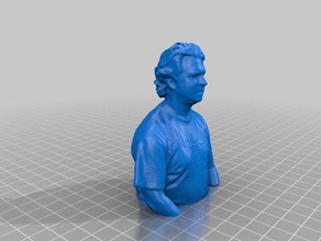 site 3 open house 3d scans 2012-08-16 people bust head kinect reconstructme scanned site3 3d print model - Mito3D