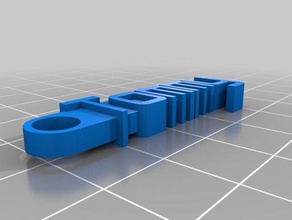 tommy keychain organization customized 3d print model - Mito3D