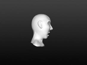 ecaf people bust face 3d print model - Mito3D