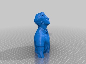 busto scansione e3d-online persone mendel90 pla prova 3d print model - Mito3D
