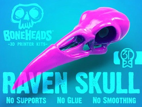 boneheads raven skull kit promo 3dkitbashcom animals 3d kitbash bird cool crow dead dome eagle help kickstarter mount pink spooky wicked 3d print model - Mito3D