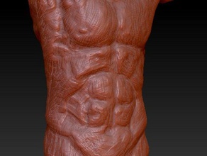 anatomia maschile scolpire sculture 3d print model - Mito3D