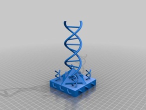 dna double helix no supports needed biology art model 3d print model - Mito3D