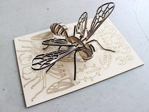 bee puzzle puzzles 4mm laser lasercut cut cutter wood 3d print model - Mito3D