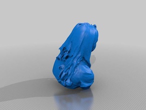 ciara mazzei persone eisf fare la scansione senso dello scanner 3d print model - Mito3D