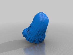 freyaterris people eisf making scan sense scanner 3d print model - Mito3D