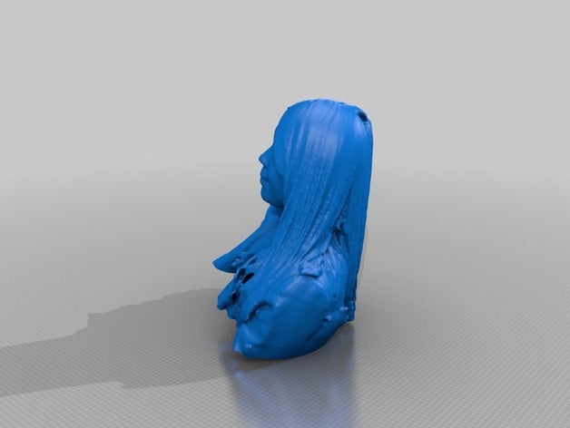 phoebe chen people eisf making scan sense scanner 3D print model - Mito3D