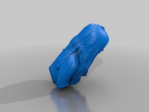 libbycrossley people eisf making scan sense scanner 3d print model - Mito3D