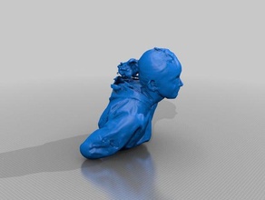 leala people eisf making scan sense scanner 3d print model - Mito3D