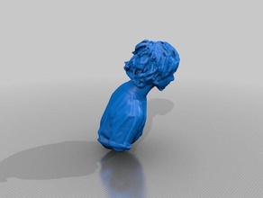 joehillier people eisf making scan sense scanner 3d print model - Mito3D