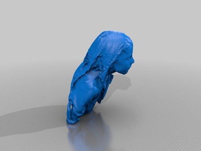 jessiesheeler people eisf making scan sense scanner 3d print model - Mito3D