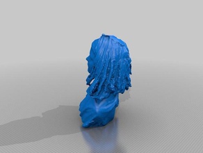 rebecca s Menschen eisf machen scan Sinn-scanner 3d print model - Mito3D