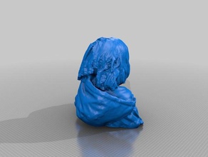 nievemuir pessoas eisf de decisão scan sentido do scanner 3d print model - Mito3D