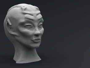 alien queen head people figure woman 3d print model - Mito3D