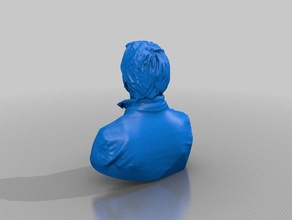 remi personnes eisf de décisions la numérisation sens scanner 3d print model - Mito3D