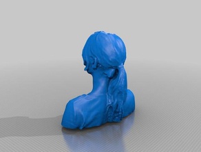 maja hyveled Menschen eisf machen scan Sinn scanner 3d print model - Mito3D