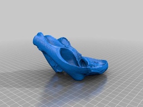 1 kalp anatomik model makerbotdigitizer tarama 3d print model - Mito3D