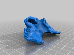 right maxillary bone anatomical model biology 3d print model - Mito3D