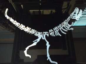 dinosaur bones necklace jewelry jewlery 3d print model - Mito3D