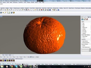 mandarine scans replicas cmit fruit laser tangerine 3d print model - Mito3D
