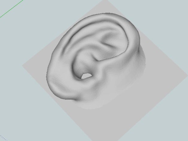 el oído humano personas oreja 3D print model - Mito3D