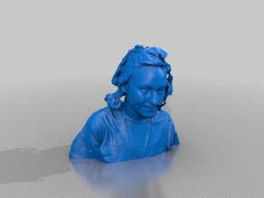 robynscifest people eisf making scan sense scanner 3d print model - Mito3D