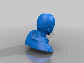 sultanmohammed insanlar eisf yapma tarama sense tarayıcı 3d print model - Mito3D