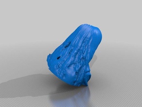 ellismacenzie insanlar eisf yapma tarama sense tarayıcı 3d print model - Mito3D