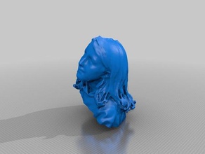 blythemarsh people eisf making scan sense scanner 3d print model - Mito3D