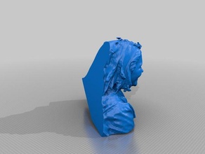 eligoll personas eisf de decisiones scan sentido del escáner 3d print model - Mito3D