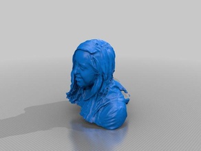 sarahhitchcock personas eisf de decisiones scan sentido del escáner 3d print model - Mito3D