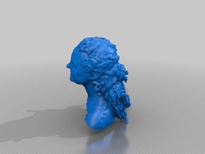 kendraheimes personas eisf de decisiones scan sentido del escáner 3d print model - Mito3D