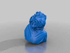 thomas fraser Menschen eisf machen scan Sinn scanner 3d print model - Mito3D