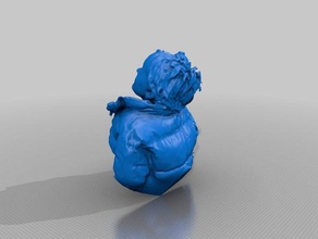 jonathan Menschen eisf machen scan Sinn scanner 3d print model - Mito3D