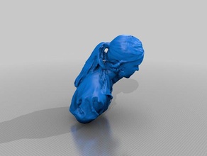 morgan robertson Menschen eisf machen scan Sinn scanner 3d print model - Mito3D