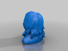 skye sturrick personnes eisf de décisions la numérisation sens scanner 3d print model - Mito3D