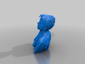 owen persone eisf fare la scansione senso dello scanner 3d print model - Mito3D