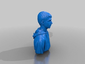 3d scanned bust individual low light printing 3d print model - Mito3D