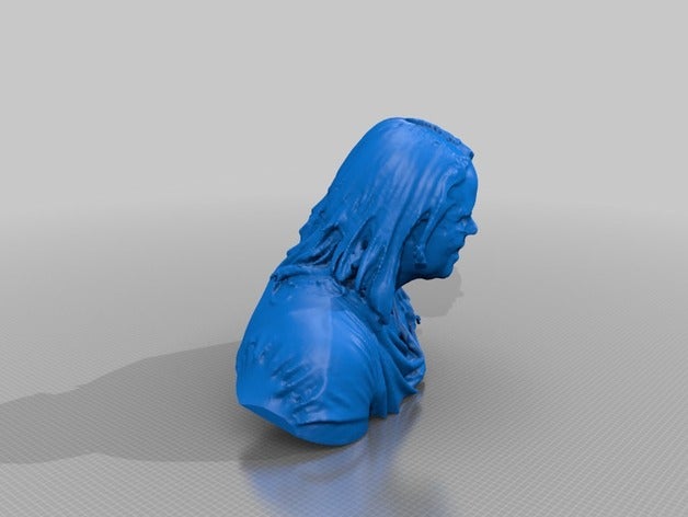 sara tolly Menschen eisf machen scan Sinn scanner 3D print model - Mito3D