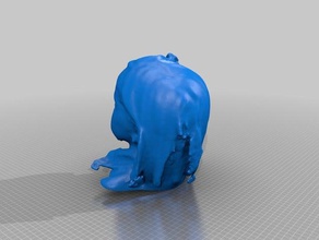 lamont nieve pessoas eisf de decisão scan sentido do scanner 3d print model - Mito3D