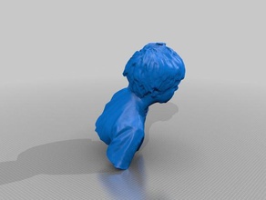 angusroberts Menschen eisf machen scan Sinn scanner 3d print model - Mito3D