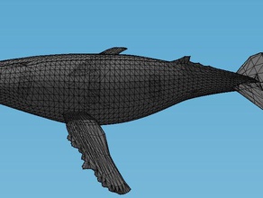 baleine à bosse animaux la noaa solidoodle stellwagen 3d print model - Mito3D