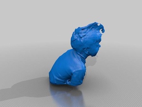 o ri pessoas eisf de decisão scan sentido do scanner 3d print model - Mito3D