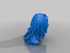 aep Menschen eisf machen scan Sinn scanner 3d print model - Mito3D